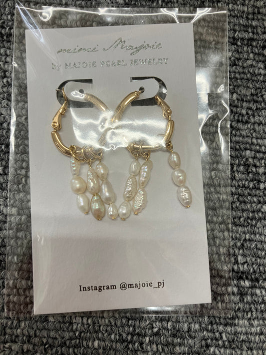 Titanium Earrings – Rice