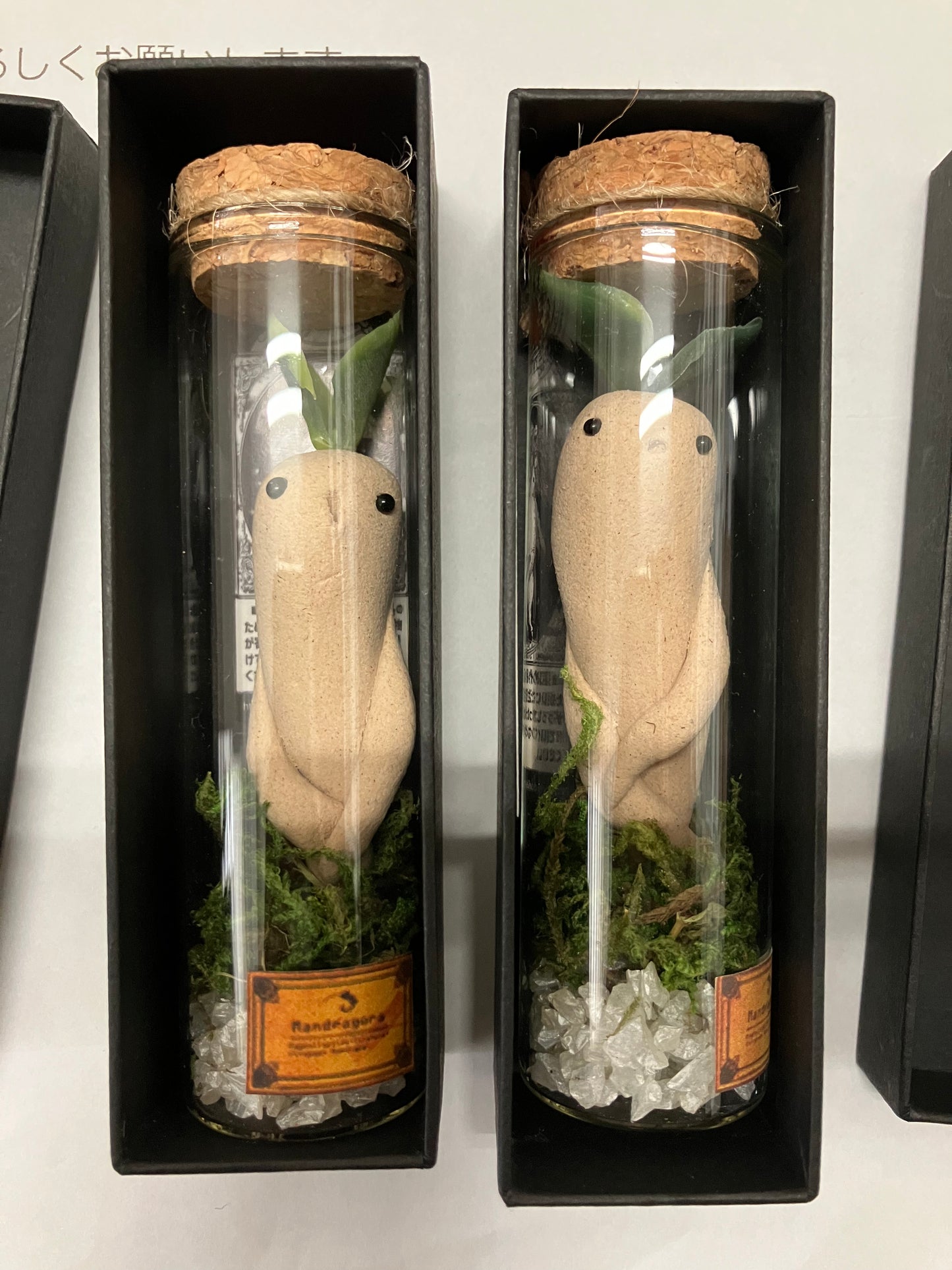 Mandragora in a Jar